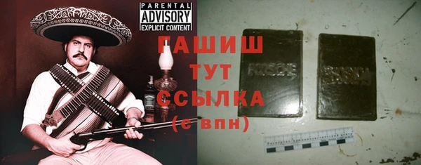 хмурый Горняк