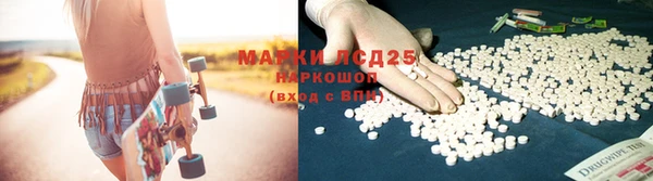 шишки Горнозаводск