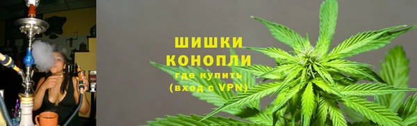 шишки Горнозаводск