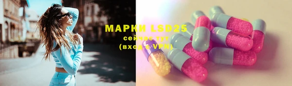 хмурый Горняк