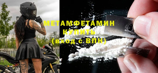 шишки Горнозаводск