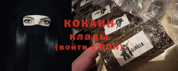 шишки Горнозаводск
